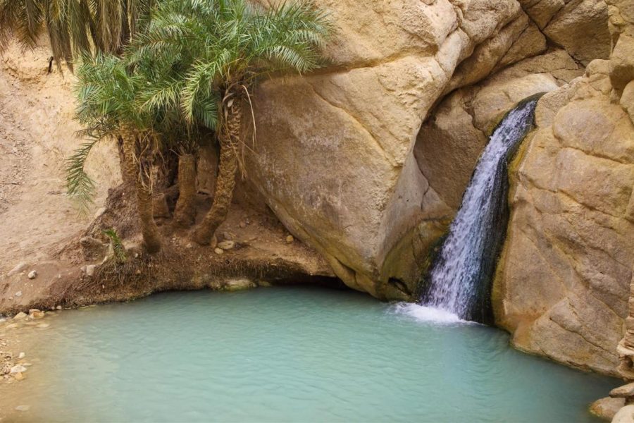 The Tunisian South between Oasis and Mountain: 3 Days / 2 Nights Douz and Tozeur